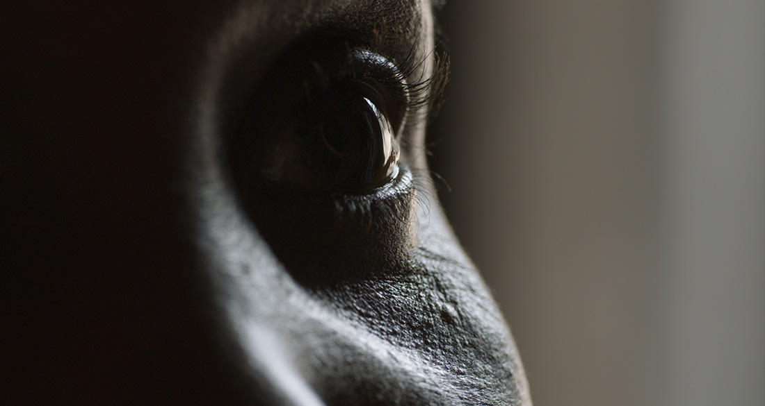 Film frame from Water. People. Possibility.